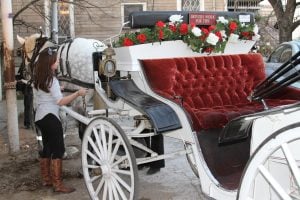 Austin-Carriage-Getting-Ready Austin-Carriage-Getting-Ready