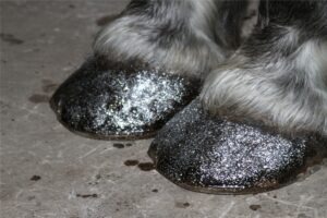 Austin-Carriage-Glitter-Hooves-Horse Austin-Carriage-Glitter-Hooves-Horse