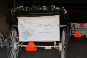 Austin-Carriage-Just-Married Austin-Carriage-Just-Married