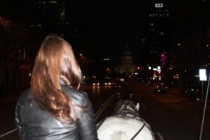 Horse-Carriage-Capitol-Austin Horse-Carriage-Capitol-Austin