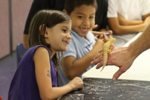 Austin_Reptile_Shows_Kids Kids love Austin Reptile Shows