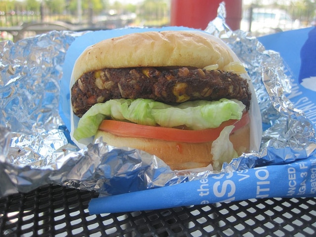 Veggie-Burger-Elevation-Burger-Austin Veggie Burger at Elevation Burger in Austin