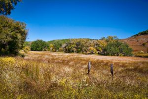 Balcones Canyonlands National Wildlife Refuge
