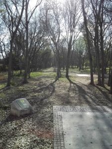 Roy G Guerrero Disc Golf Course Hole