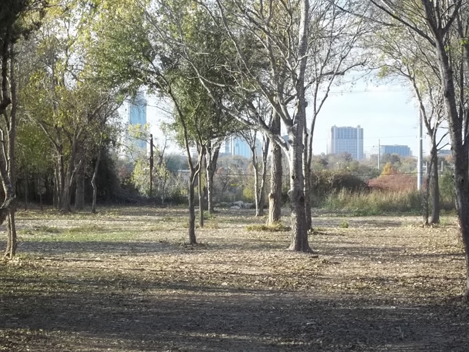 All Disc Golfers Go to Heaven at Roy G. Guerrero Disc Golf Course