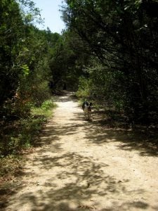 Walnut Creek Park