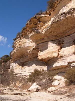 The Complete Guide to Austin Greenbelt Access and Trails