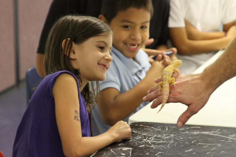 Austin Reptile Shows Wrangles Reptiles With Kids