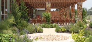 Texas Hill Country Olive Company Dripping Springs