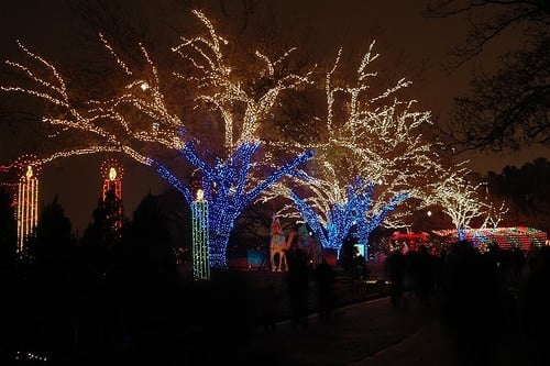 Trail of Lights Austin TX