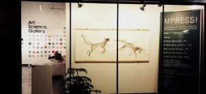 Art.Science.Gallery. Austin