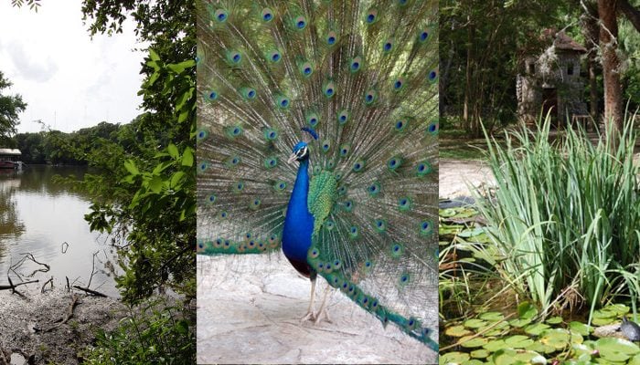 Mayfield Park in Austin, TX