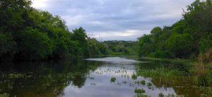 Best Hiking Spots in Austin