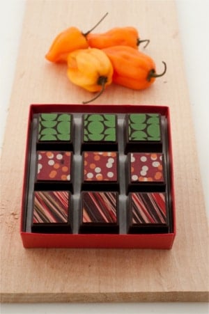 Delysia Chocolatier Latin Collection