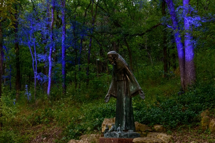 St Francis With Birds by Charles Umlauf