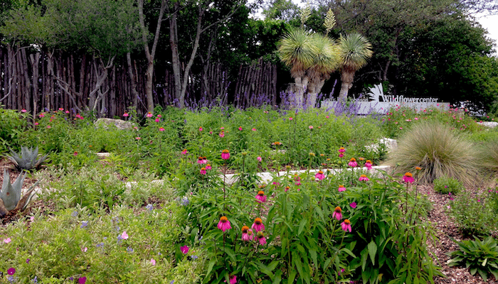 Explore Austin Nature At Lady Bird Johnson Wildflower Center   Lady Bird Johnson Wildflower Center 