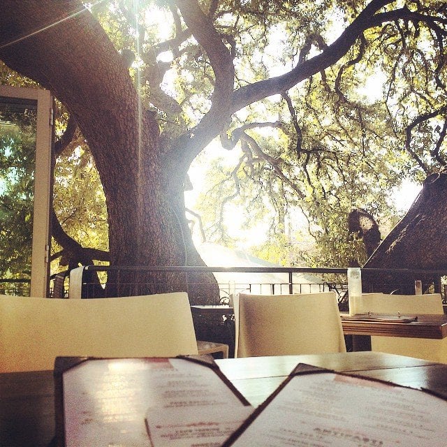 Patio at Olive and June