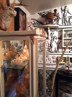 Jackalope and Pygmy Kangaroo on Display