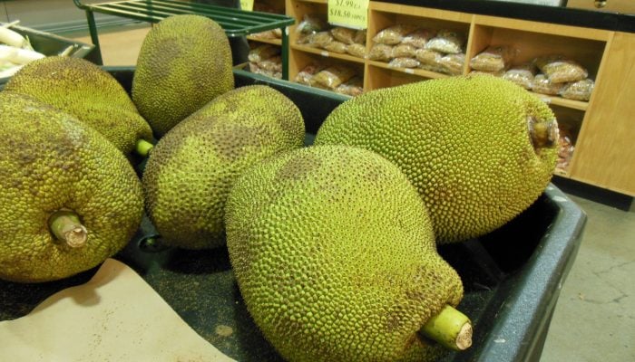 Jackfruit at MT Supermarket in Austin, TX