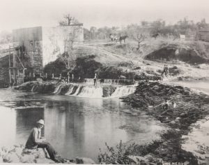 Guide To Barton Springs Pool, Soul Of Austin - The Austinot