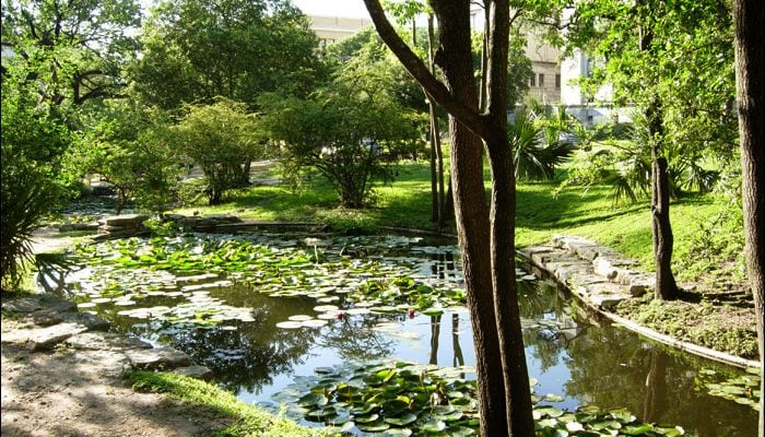 University of Texas at Austin Campus
