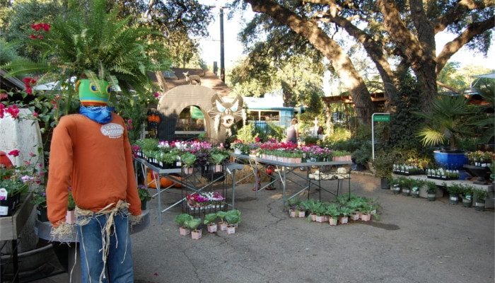 Great Outdoors Garden Center Austin