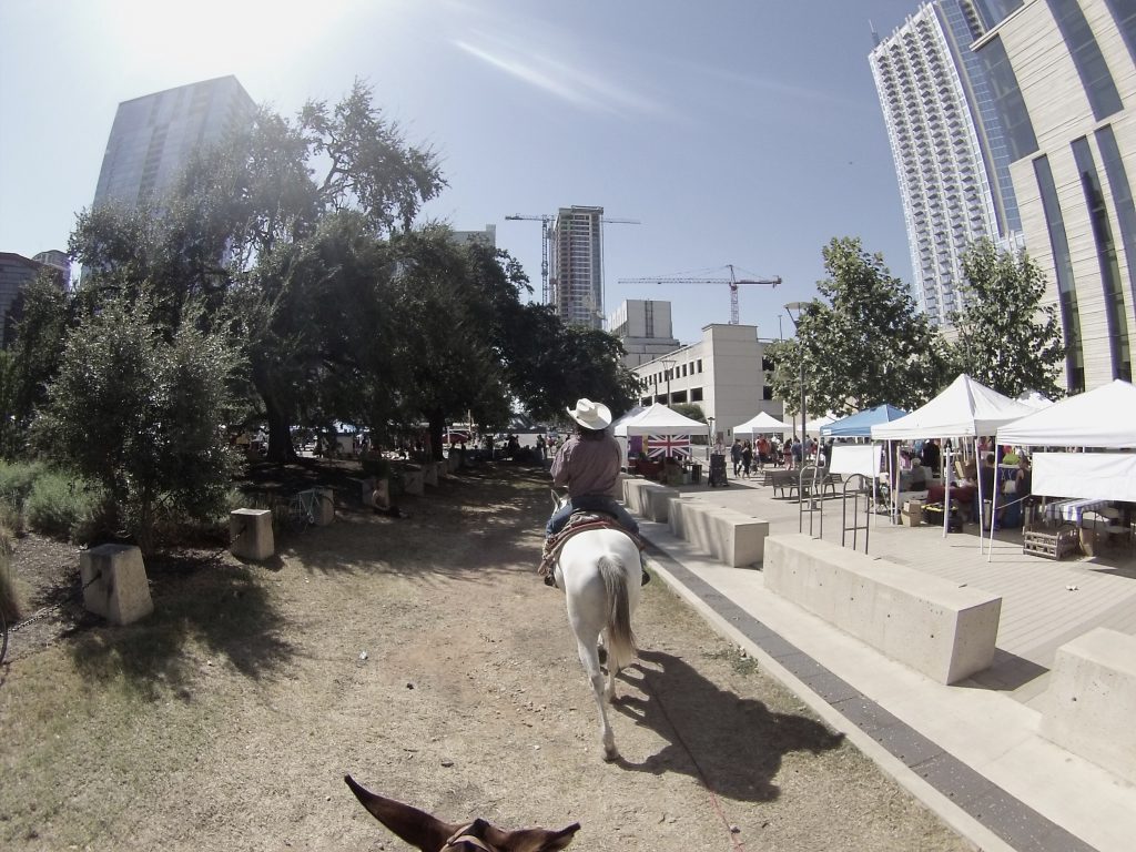 Sam Olivo Riding White Horse in Austin
