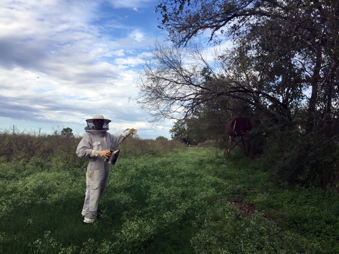 Beesuit at CrownFox Farms