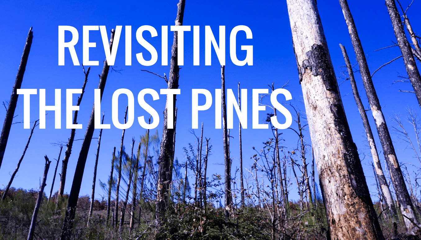 Lost Pines Texas