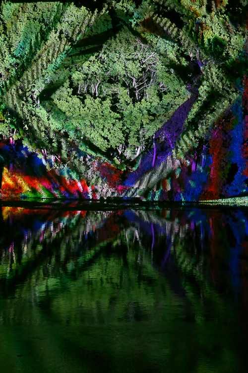 Colorful Tree Projection at Levitation Festival
