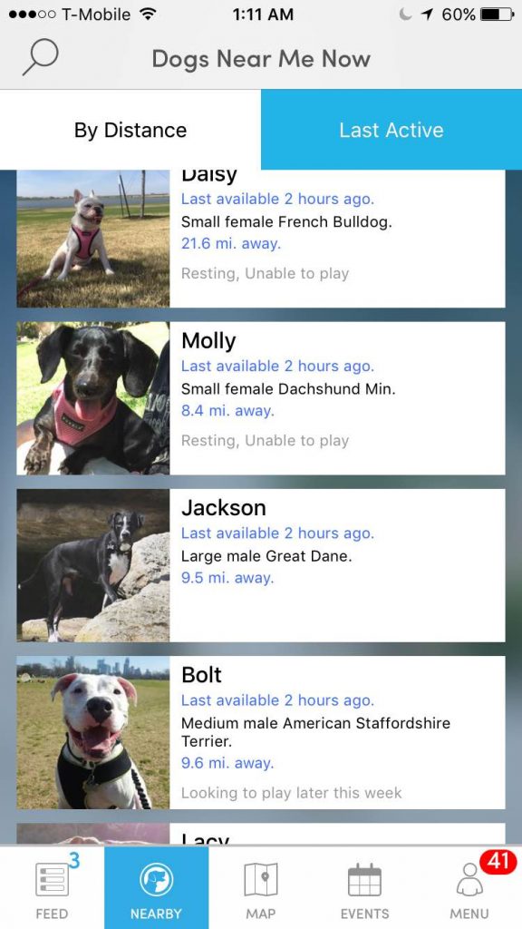 Expand Your Dogs Network of Friends in Austin