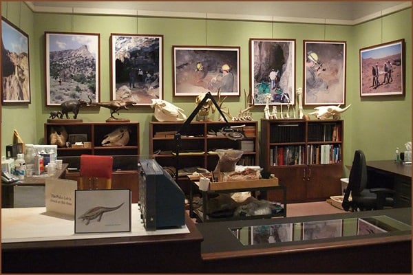 The Paleo lab at Texas Memorial Museum