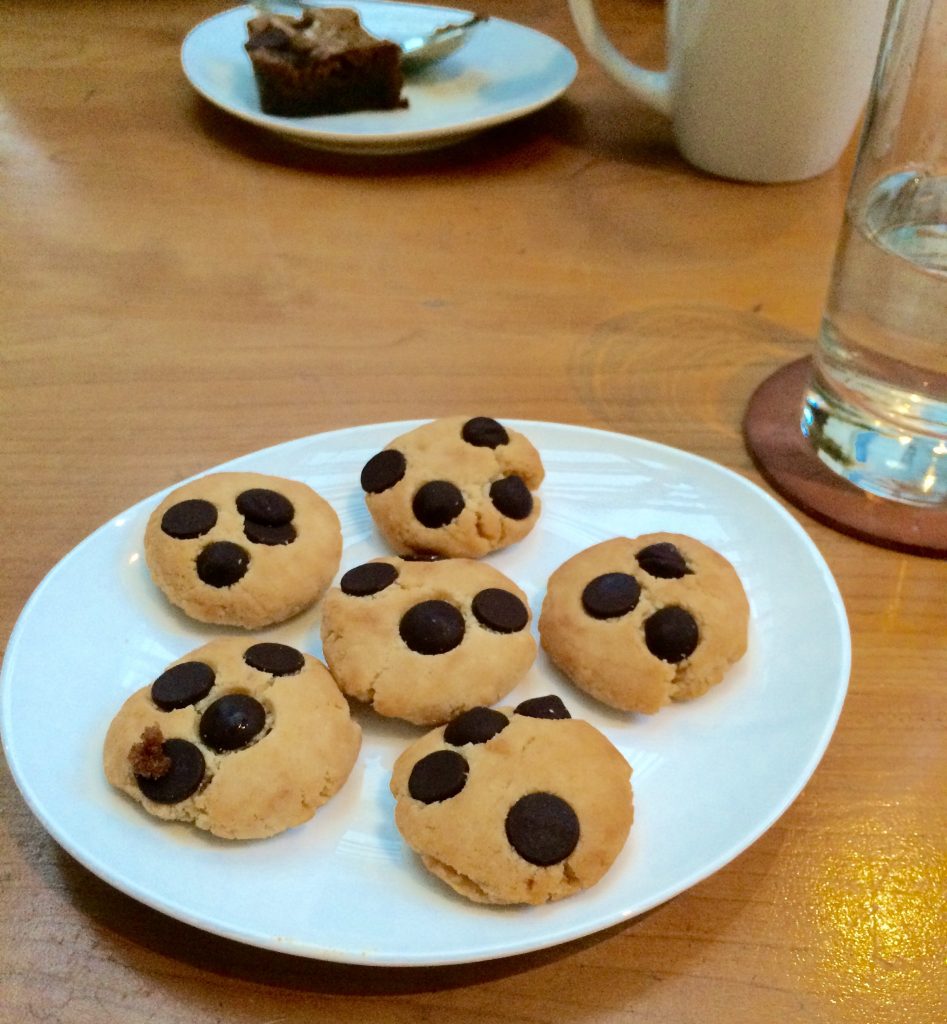 Vegan Chocolate Chip Cookies at Picnik