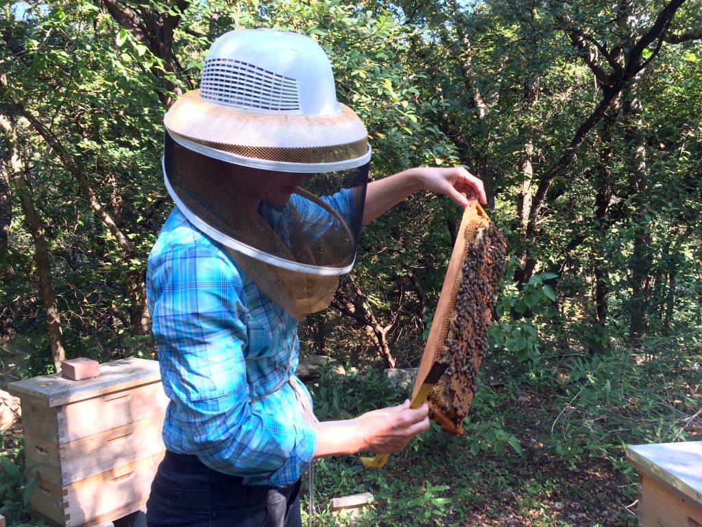 Tara Chapman Two Hives Honey