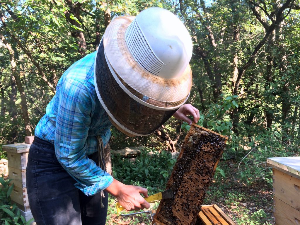 Tara Chapman Two Hives Honey in Austin