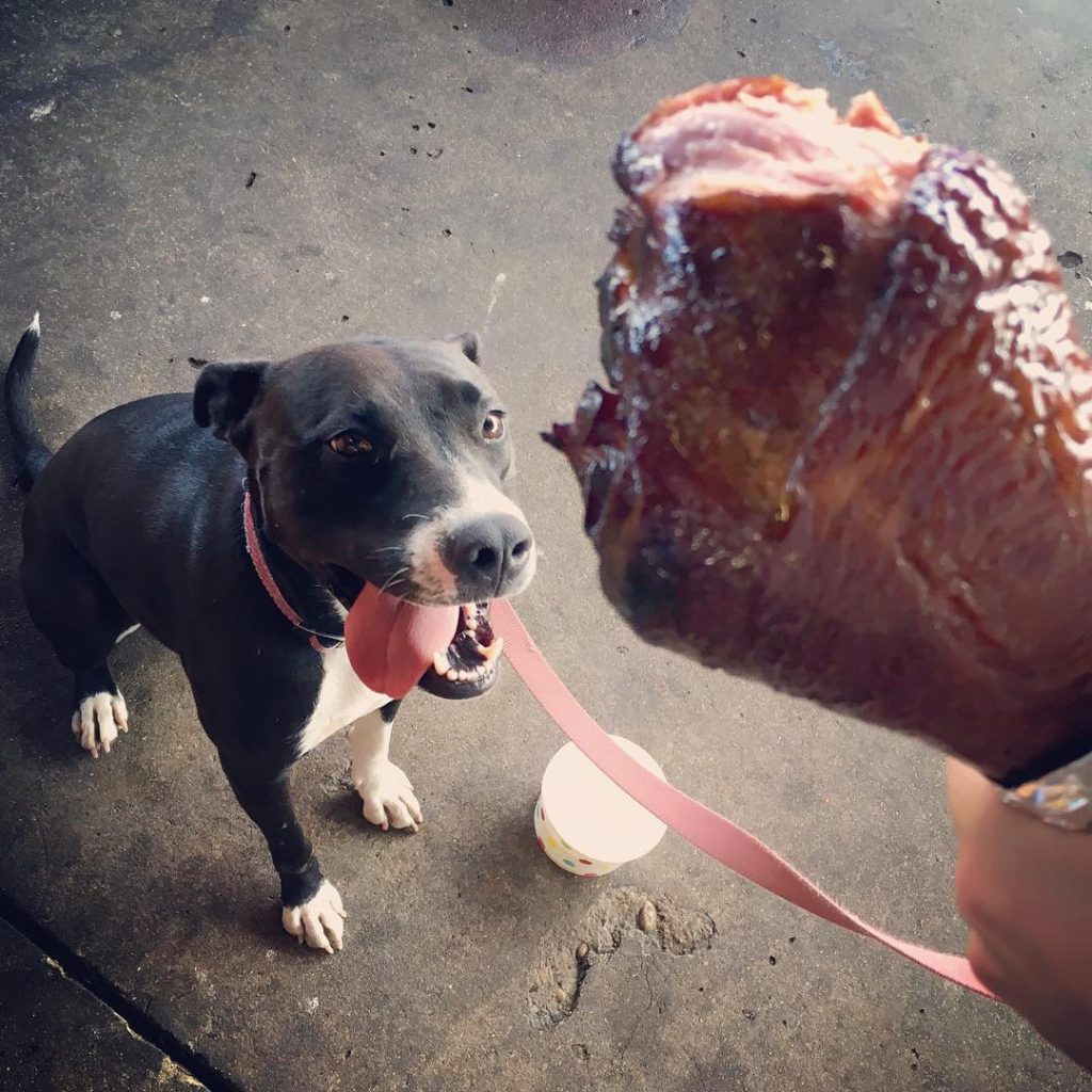 Most Dog-friendly Patios in Austin