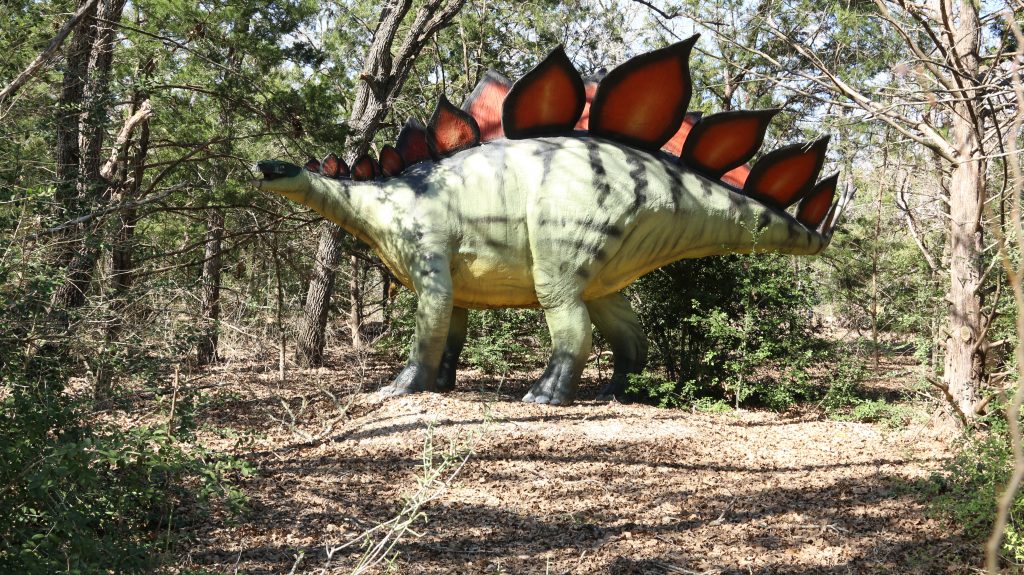 Stegasaurus at Dinosaur Park
