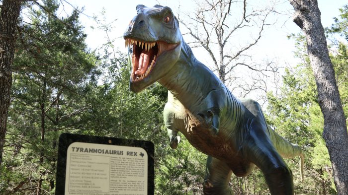 Dinosaur Park Bastrop Texas
