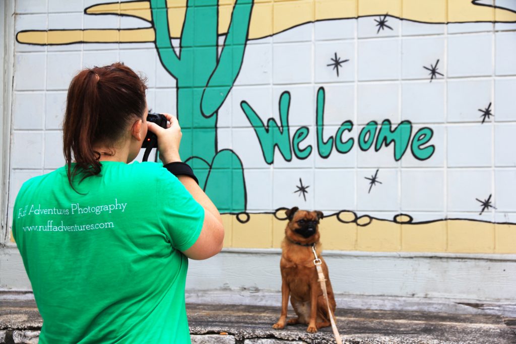 Dog Photographer in Austin
