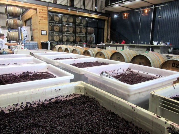 Watch Winemaking at The Austin Winery