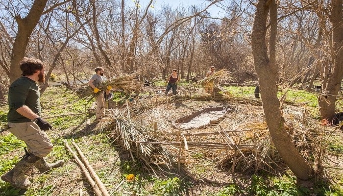 Learn How to Create Shelter at Earth Native Wilderness School