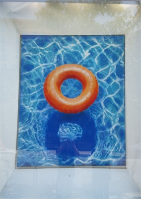 Dave Lowell Swimming Pool Art at Westin Austin Downtown