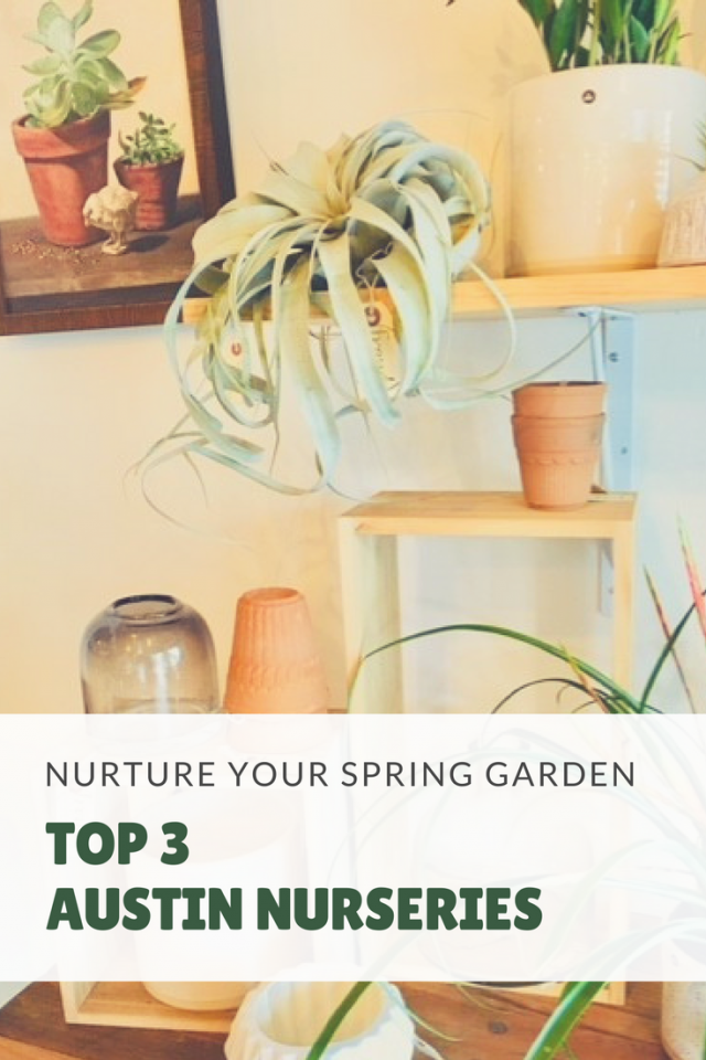 Best Austin Nurseries Spring Gardening 640x960 