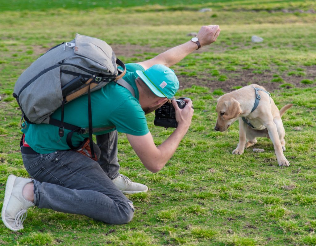 Alex Hopes Dog Photographer in Austin