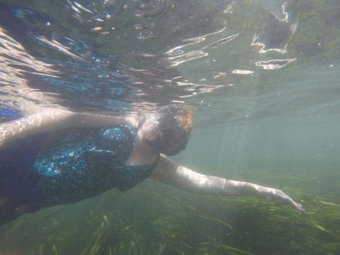 Snorkel TX takes swimmers underwater for a close-up experience with nature (Credit: @dollarsaenz)