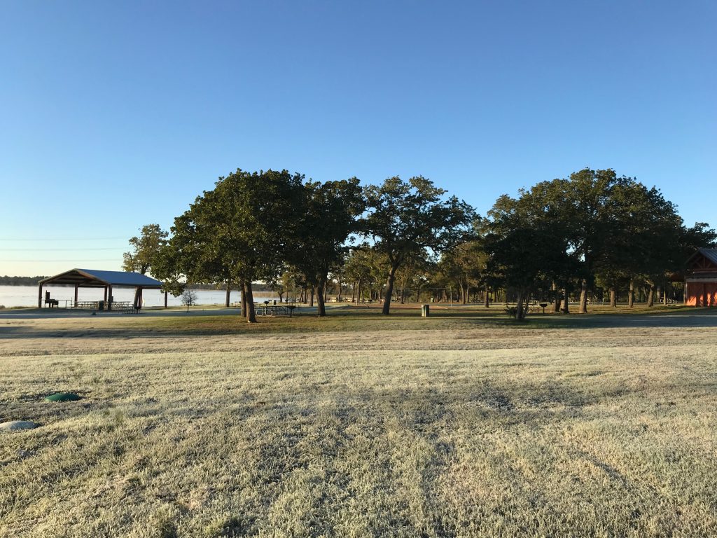Frosted grass in the morning Along Lake Bastrop
