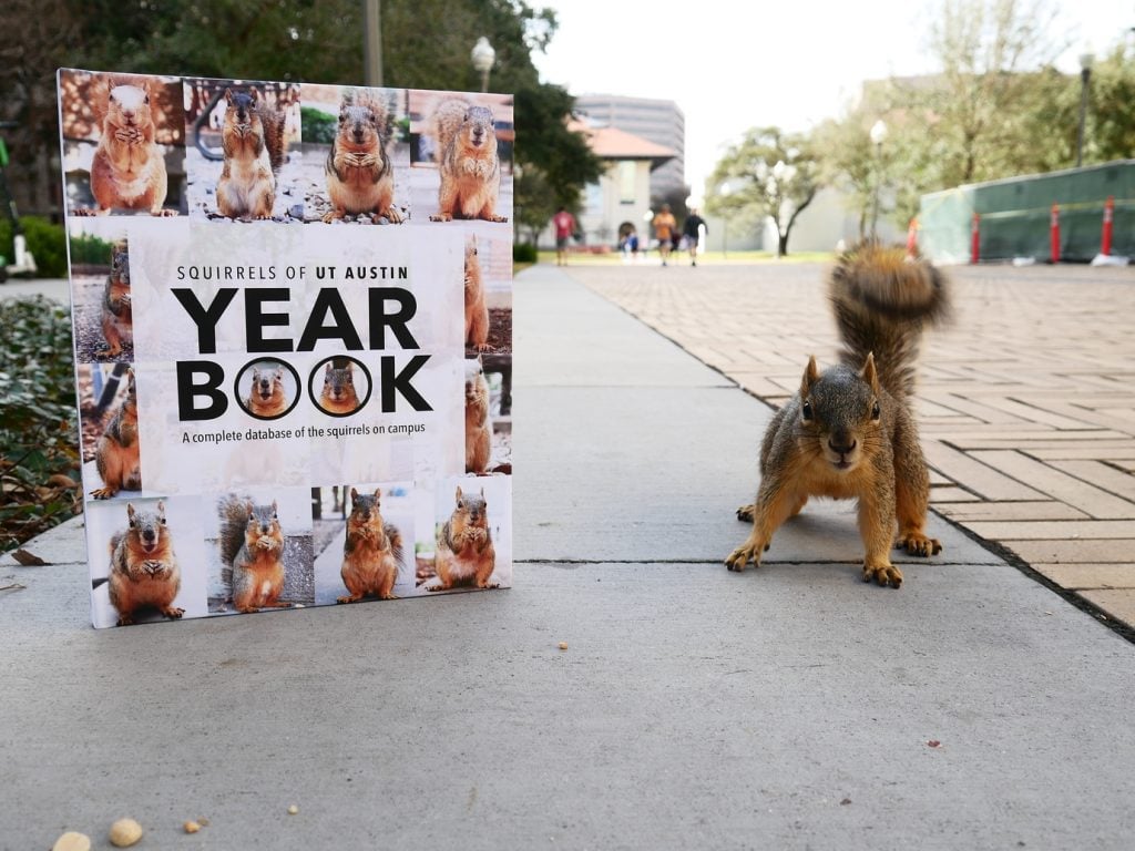 Squirrels of UT Austin Yearbook