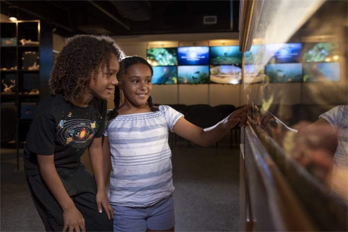 Discovery Hall Aquarium at The Meadows Center