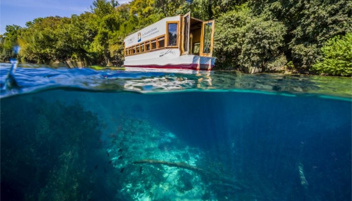 Glass-bottom Boat Tour Meadows Center