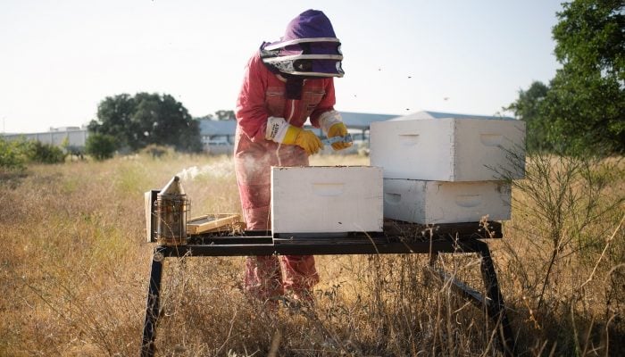 Round Rock Honey Beekeeping Class